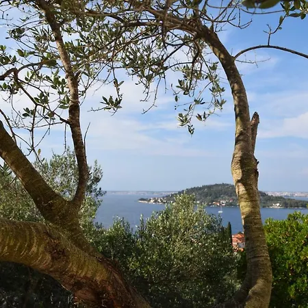 Διαμέρισμα Halugica